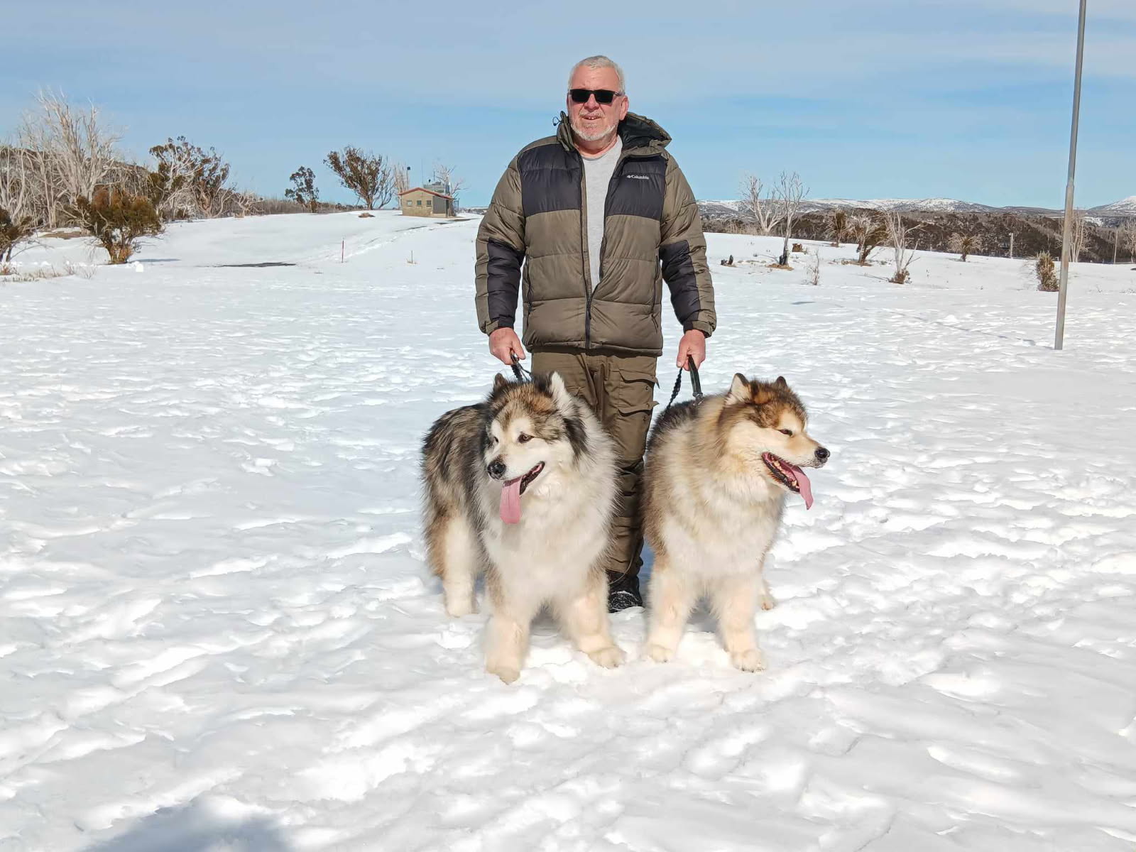 Ron Baruch with Alaskan Malamutes in the snow