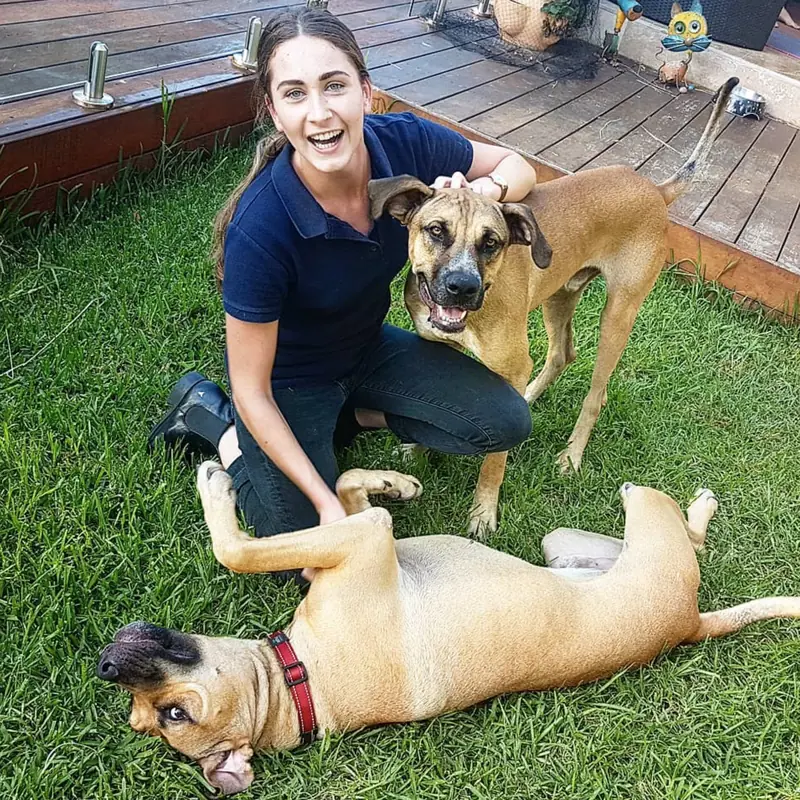 Successfully trained dog 4 - Cause For Paws